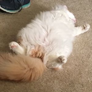 Meet your Posher, Ruth